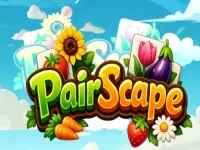 image PairScape