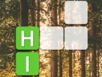 image Word Blocks