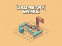 image Geometry Snake